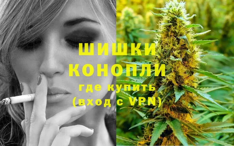 наркотики  Богородск  Конопля White Widow 